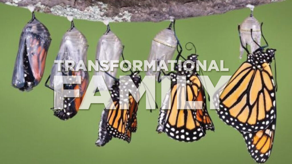 Transformational Family Part 2, from Greg Simnor.