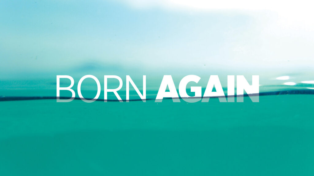 Born Again Part 9, from Paul Costelloe.