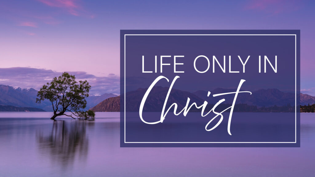 Life Only In Christ by Greg Simnor.